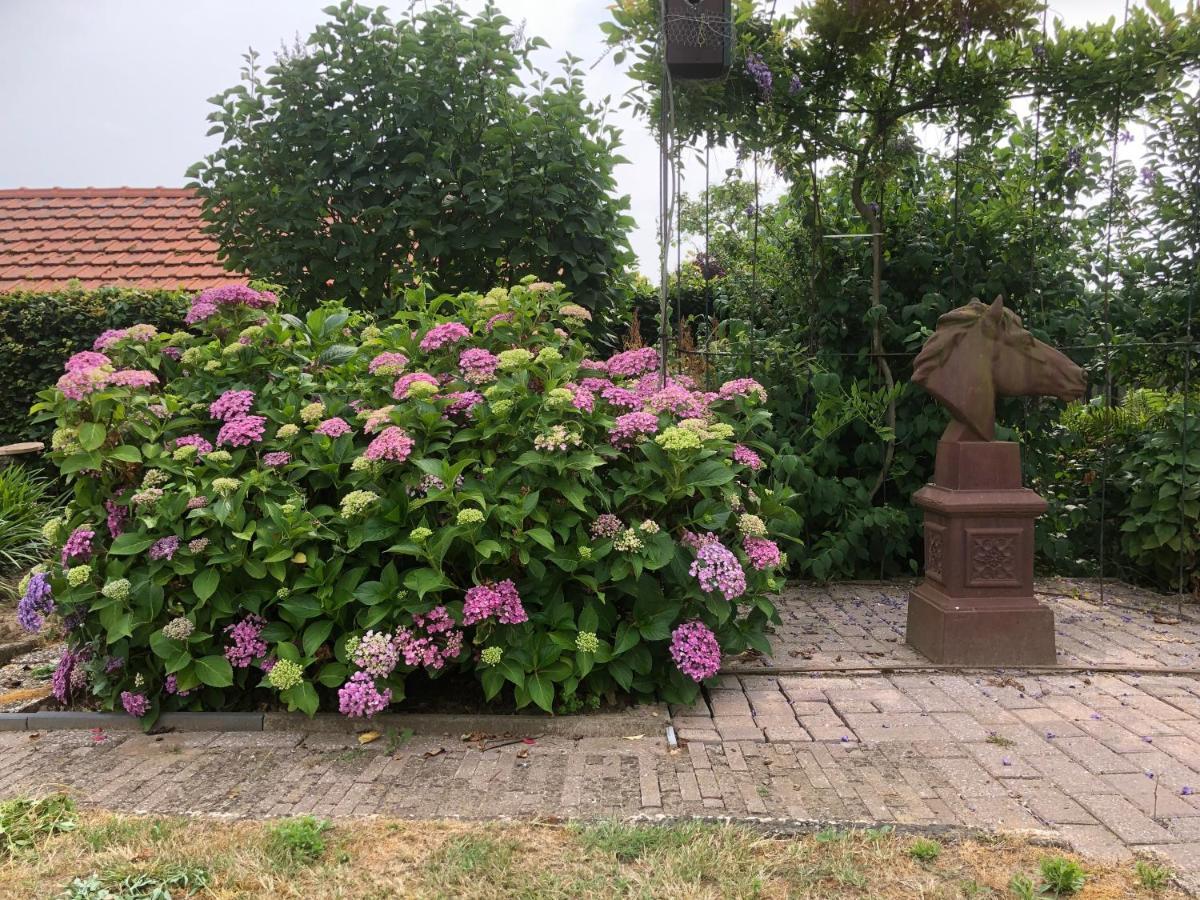 Laaker Villa Nearby Outlet Roermond Ohe en Laak Bagian luar foto