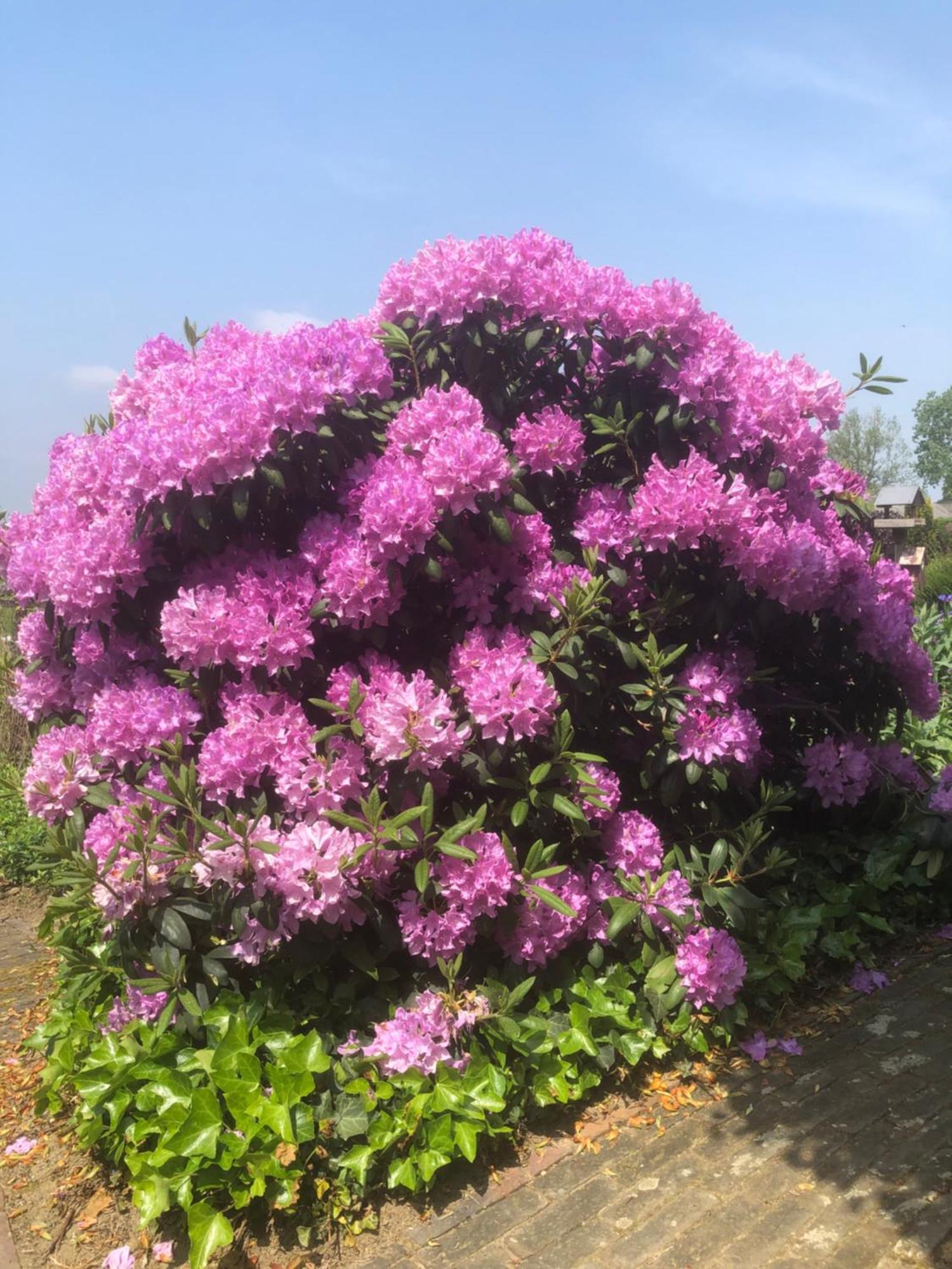 Laaker Villa Nearby Outlet Roermond Ohe en Laak Bagian luar foto