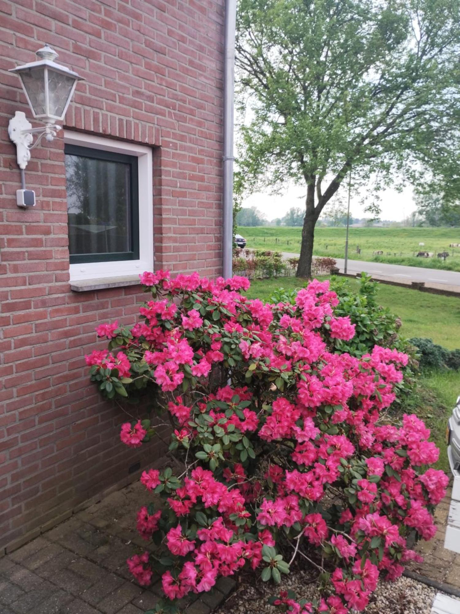 Laaker Villa Nearby Outlet Roermond Ohe en Laak Bagian luar foto